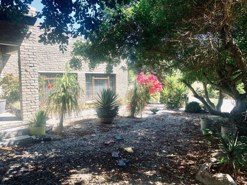 A view of the rear garden featuring a brick facade, mature trees, and established landscaping.
