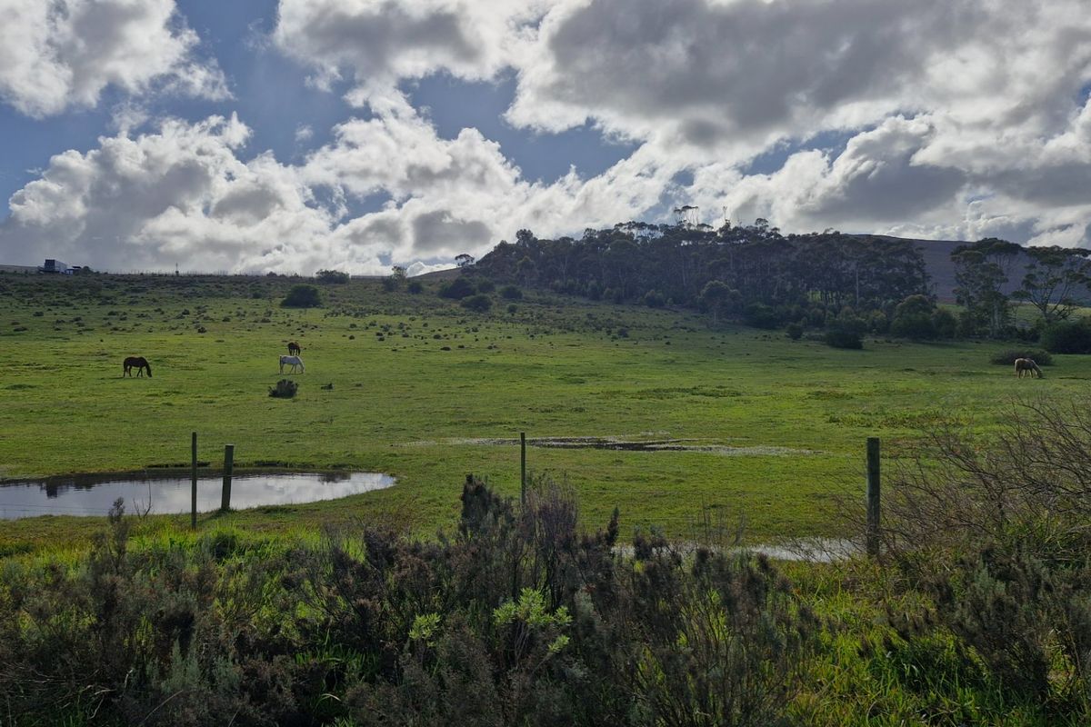 A scenic view of the expansive farm pasture featuring natural grazing land, a small pond, and perimeter wire fencing under a cloudy sky.