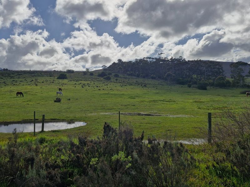A scenic view of the expansive farm pasture featuring natural grazing land, a small pond, and perimeter wire fencing under a cloudy sky.