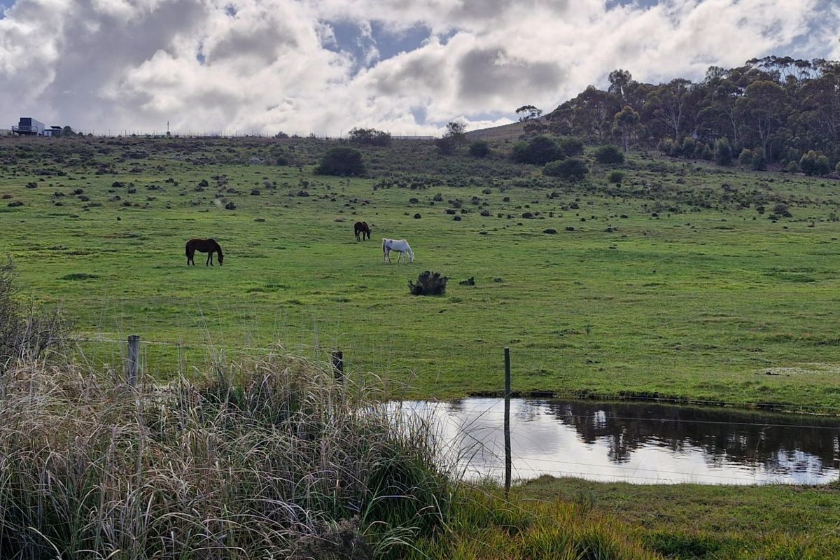 Expansive rural landscape featuring open grazing paddocks, natural vegetation, and a small pond, showcasing the property's agricultural potential and scenic surroundings.