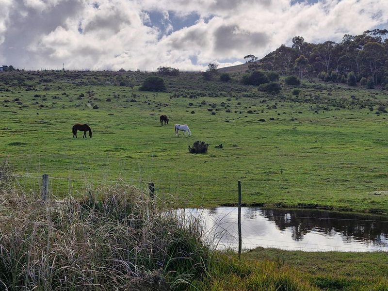 Expansive rural landscape featuring open grazing paddocks, natural vegetation, and a small pond, showcasing the property's agricultural potential and scenic surroundings.