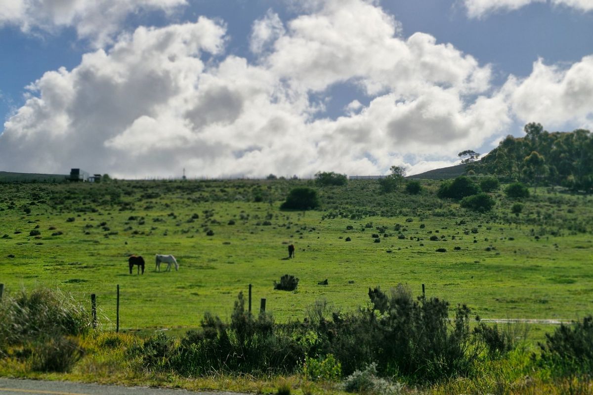 A scenic view of a green, open farm pasture with wire fencing and grazing livestock under a bright, cloudy sky.