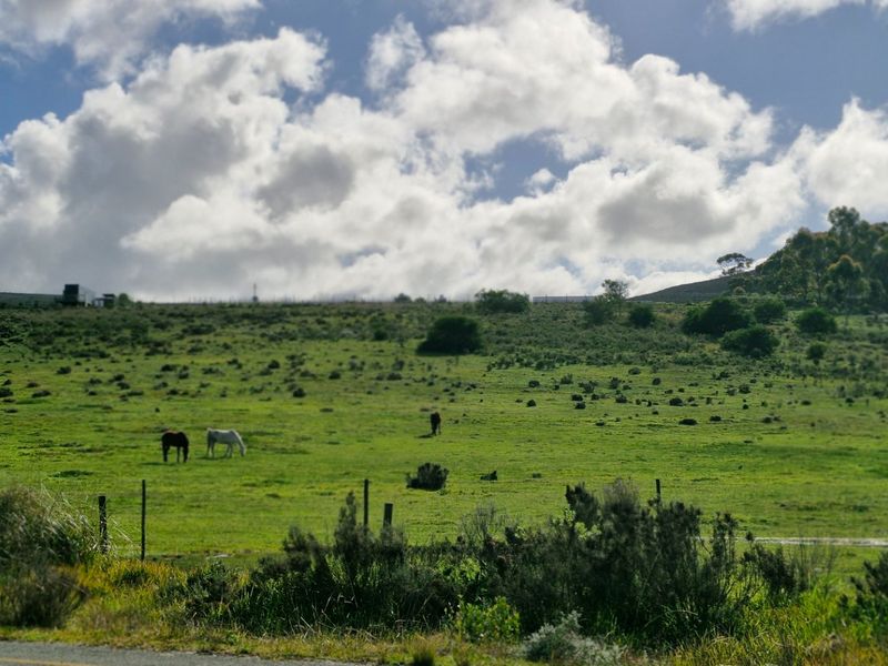 A scenic view of a green, open farm pasture with wire fencing and grazing livestock under a bright, cloudy sky.
