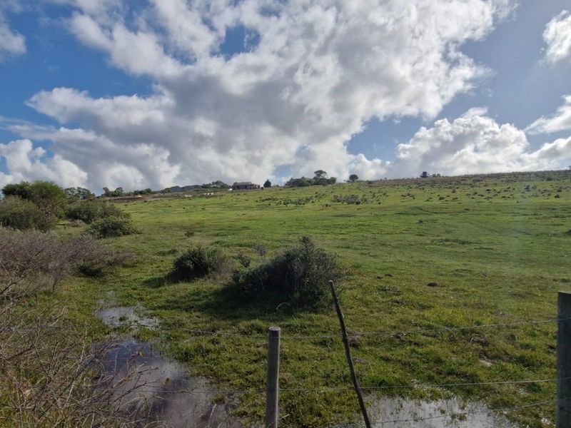 Expansive view of the open farm landscape featuring rolling green pastures and natural terrain under a cloudy sky.