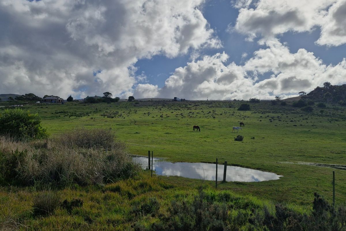 Expansive rural landscape view featuring open grazing pastures, natural pond, and wire fencing under a cloudy sky.