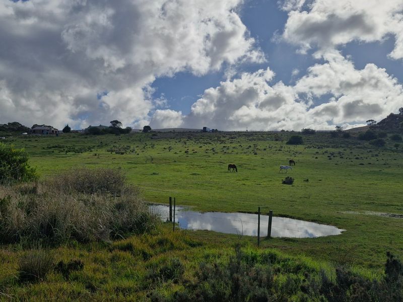 Expansive rural landscape view featuring open grazing pastures, natural pond, and wire fencing under a cloudy sky.