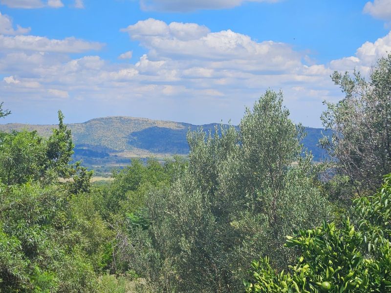 A scenic landscape view overlooking rolling hills and natural vegetation, showcasing the expansive rural surroundings of the property.