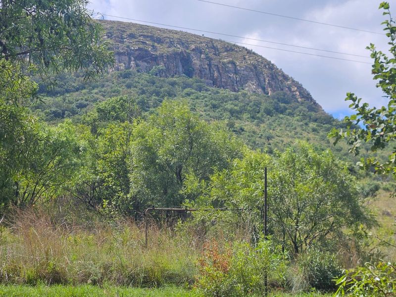 A scenic view of the natural mountain landscape surrounding the farm property.