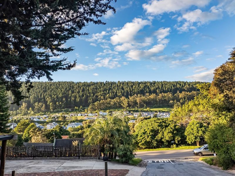Spacious Family Home in Sedgefield with Pool and Entertainment Deck - Photo 2