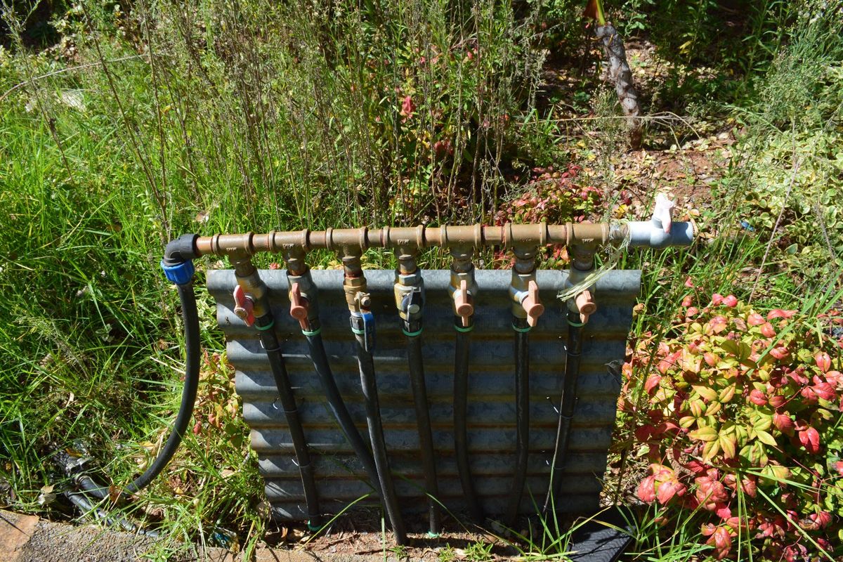 Spacious 4 Bedroom Family Home on 1,670m2 Stand with Borehole and Entertainment Areas .   - Photo 4