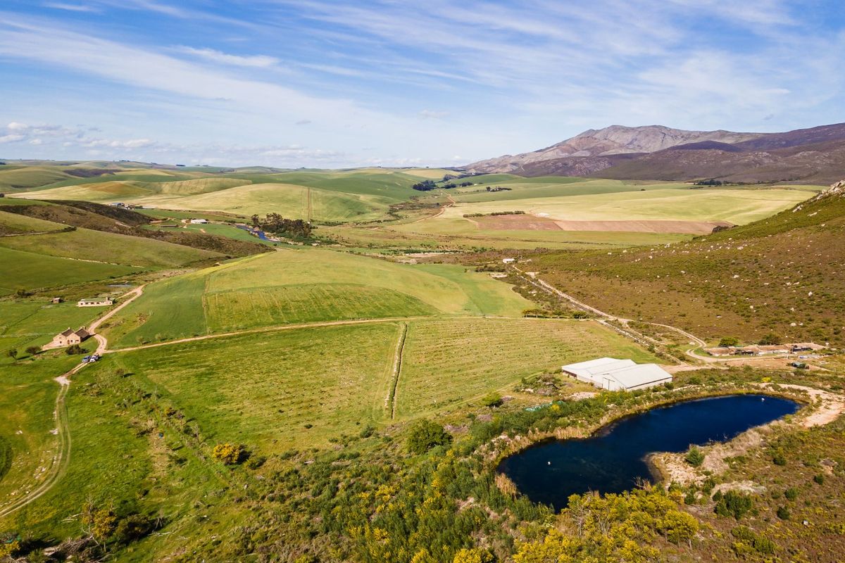 Invest in the Western Cape: Stone House Estate – 245 ha - Photo 5