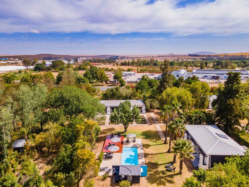 Exclusive Lifestyle Guesthouse:  Bloomestate, Swellendam - Photo 8