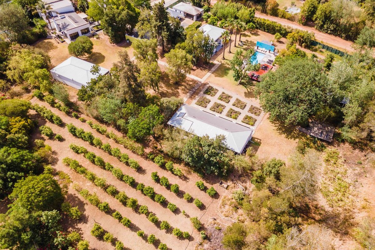 Exclusive Lifestyle Guesthouse:  Bloomestate, Swellendam - Photo 5