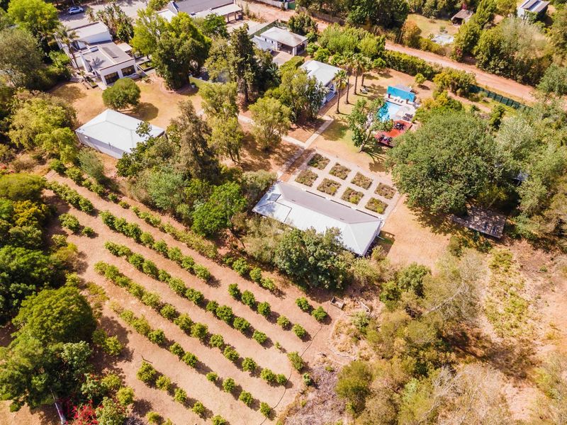 Exclusive Lifestyle Guesthouse:  Bloomestate, Swellendam - Photo 5