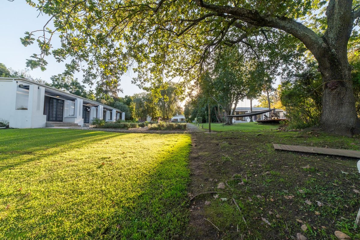 Exclusive Lifestyle Guesthouse:  Bloomestate, Swellendam - Photo 4