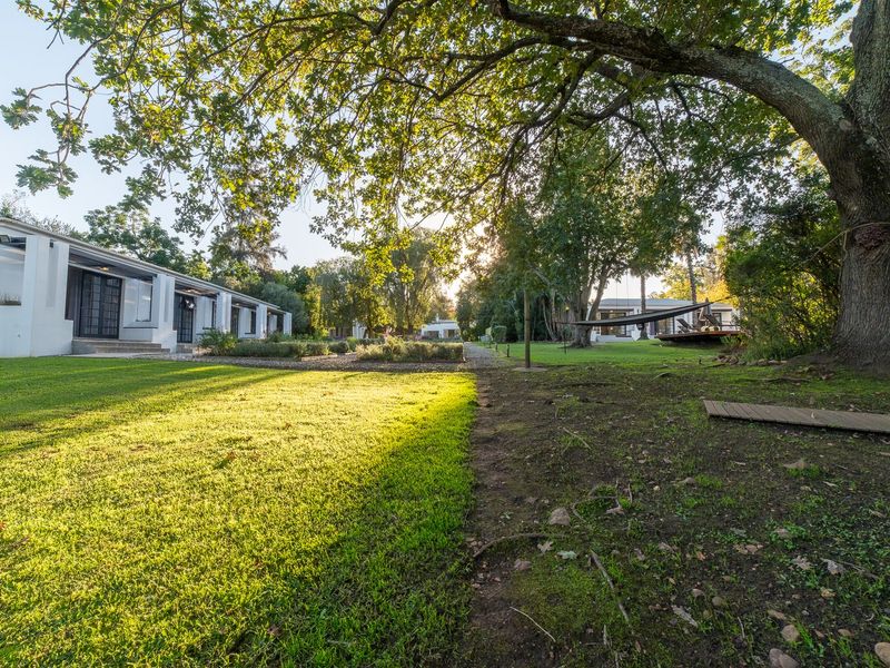 Exclusive Lifestyle Guesthouse:  Bloomestate, Swellendam - Photo 4