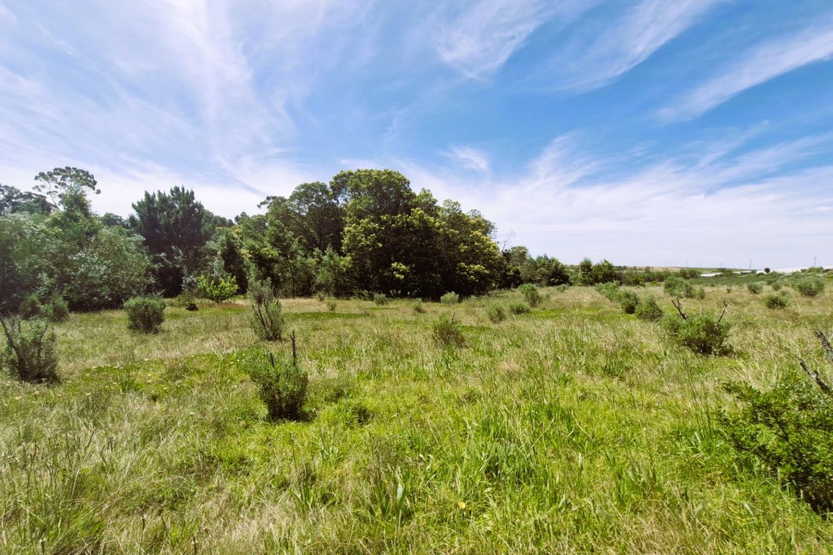 A wide-angle view of a vacant residential plot featuring natural grass cover and established mature trees.