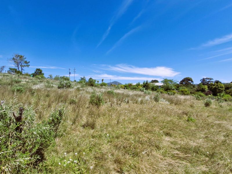 A view of a sloped, undeveloped residential plot featuring natural grass and shrubbery under a clear blue sky.