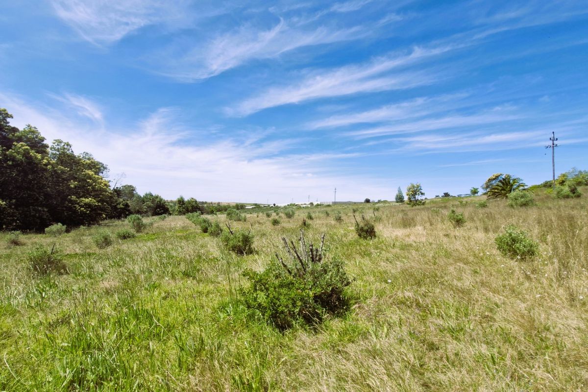A wide-angle view of a vacant residential plot featuring natural grass, scattered shrubs, and a utility pole under a clear blue sky.