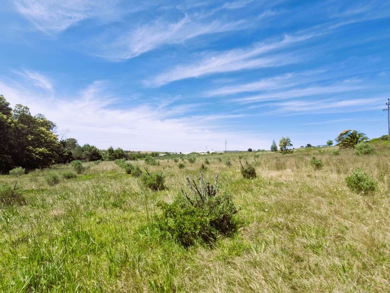 A wide-angle view of a vacant residential plot featuring natural grass, scattered shrubs, and a utility pole under a clear blue sky.