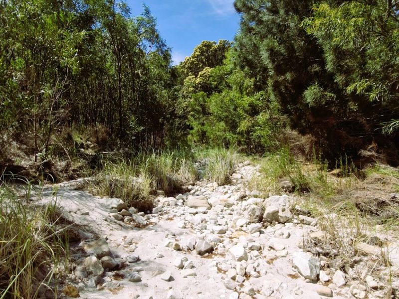 A natural, undeveloped section of the residential land featuring rocky terrain and established native trees and shrubs.