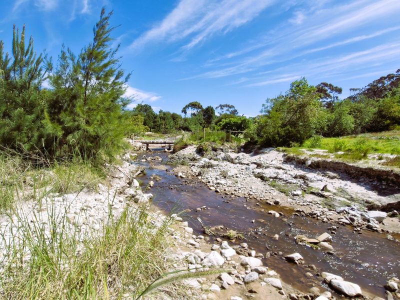 A scenic view of a natural stream flowing through a rocky riverbed, surrounded by lush indigenous vegetation and trees.
