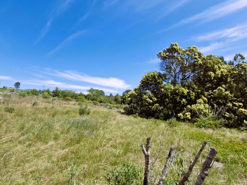 A view of a vacant residential plot featuring natural grass cover and mature trees under a clear blue sky.