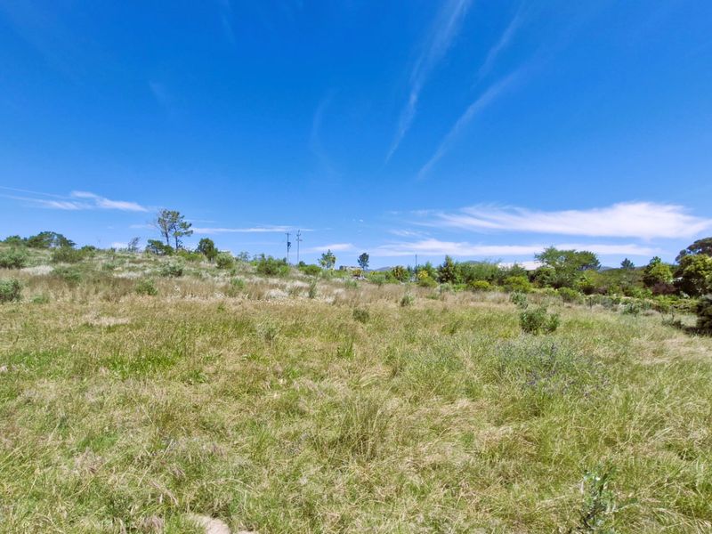 A wide-angle view of a vacant residential plot featuring natural grass and native vegetation under a clear blue sky.