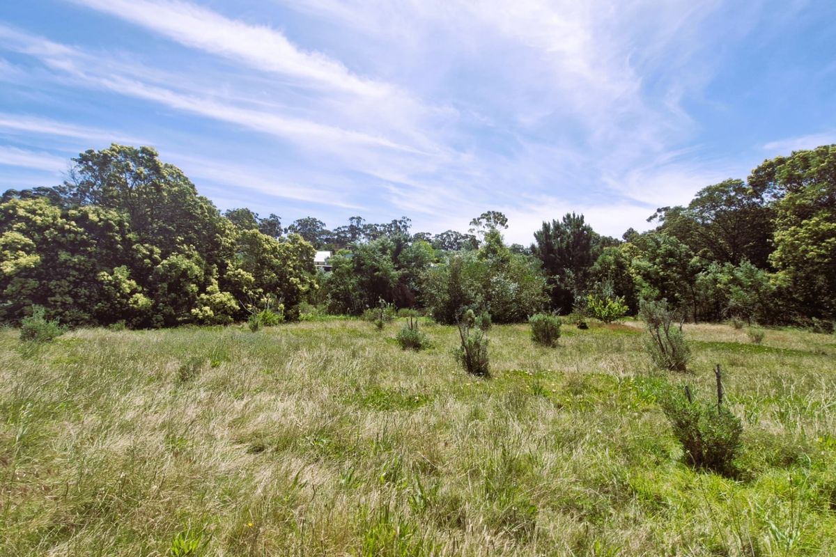 A view of a vacant residential plot featuring established trees and natural grassland vegetation.