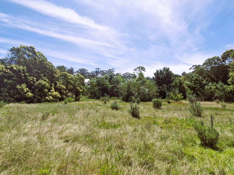 A view of a vacant residential plot featuring established trees and natural grassland vegetation.