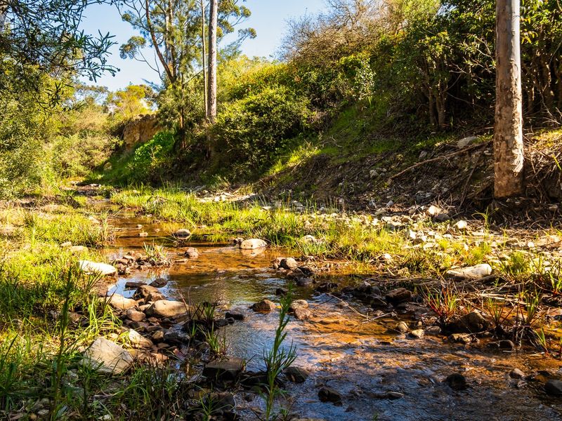 A scenic view of a natural creek flowing through a wooded area on the residential property.