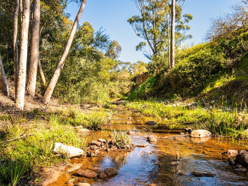 A scenic view of a natural stream flowing through a lush, wooded area on the residential property.