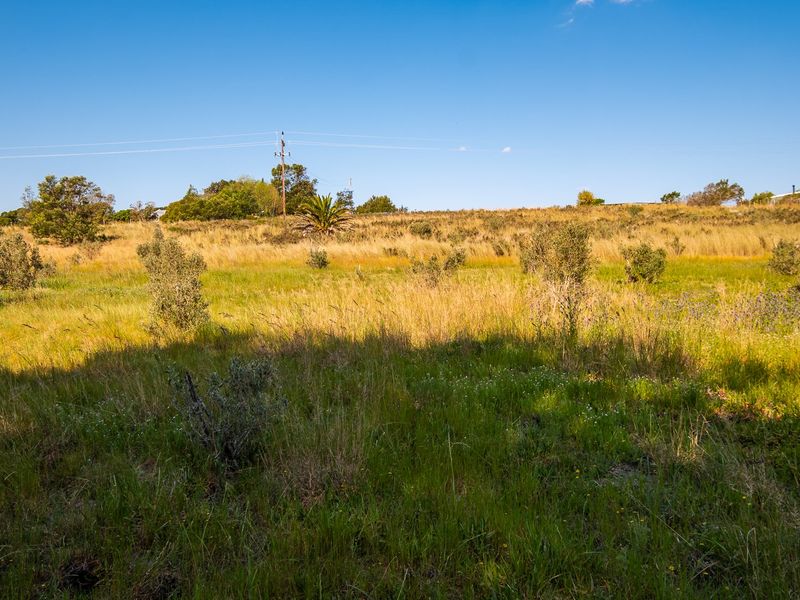 A view of a vacant residential plot featuring natural grass, shrubs, and an overhead utility pole.
