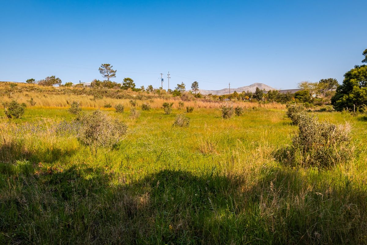 A view of the vacant residential land featuring natural grass and shrubbery under a clear blue sky.