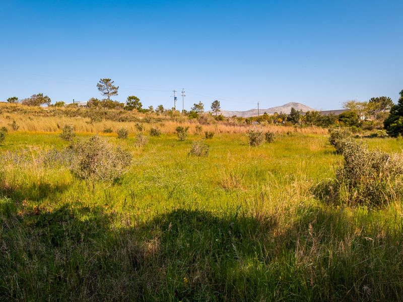 A view of the vacant residential land featuring natural grass and shrubbery under a clear blue sky.