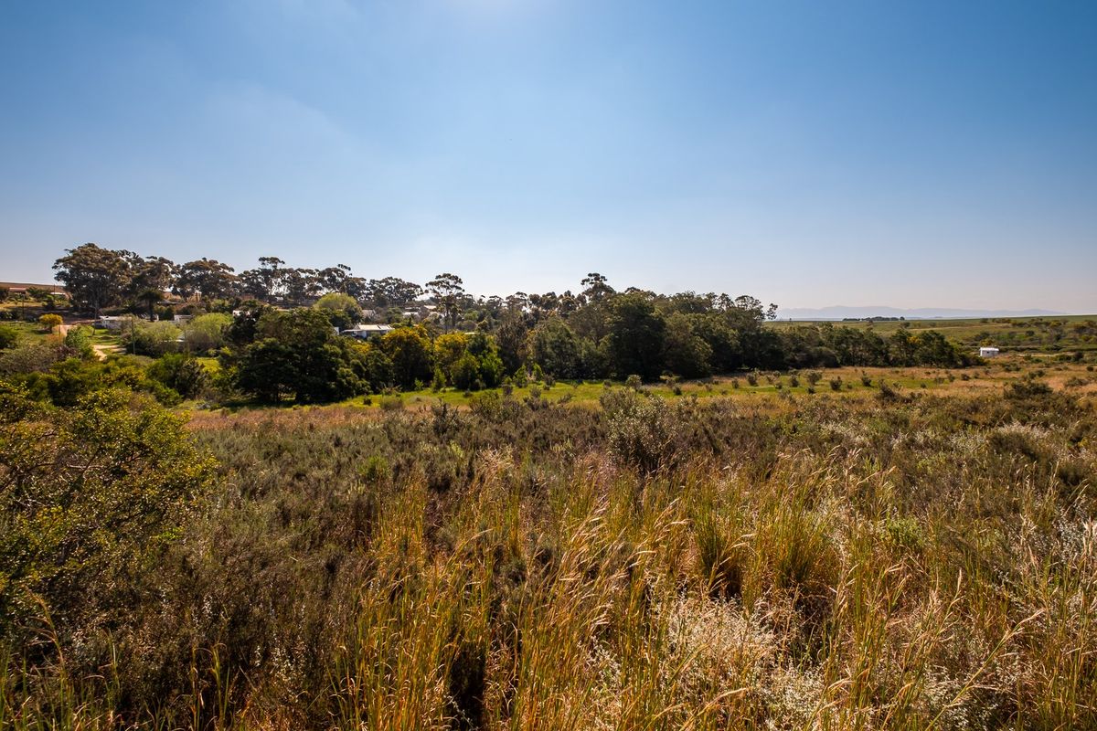 A scenic view of the natural landscape, featuring native vegetation and mature trees, showcasing the open character of the vacant residential land.