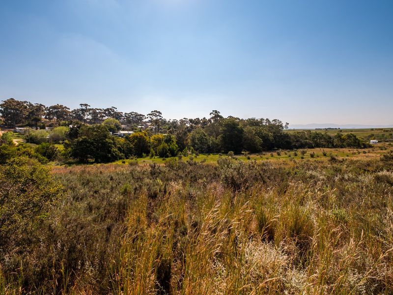 A scenic view of the natural landscape, featuring native vegetation and mature trees, showcasing the open character of the vacant residential land.
