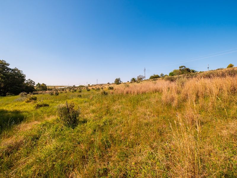 A view of a vacant residential plot featuring natural grass, shrubs, and overhead power lines under a clear blue sky.