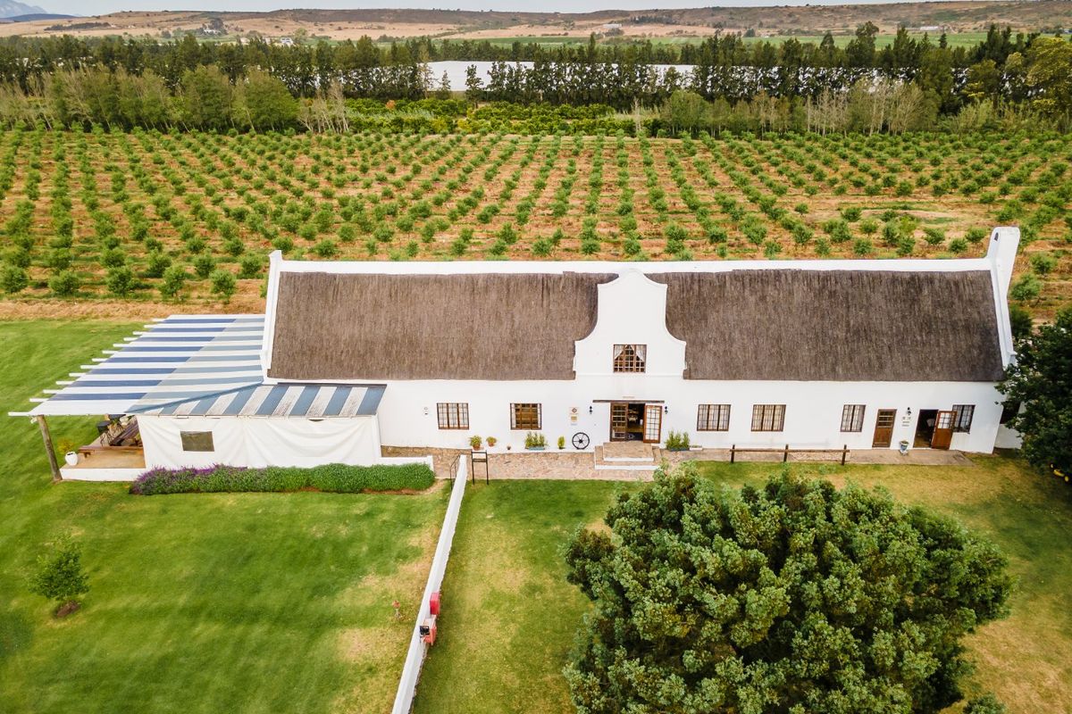 Your South African Country Dream with Boutique Hotel and working Farm - Photo 3