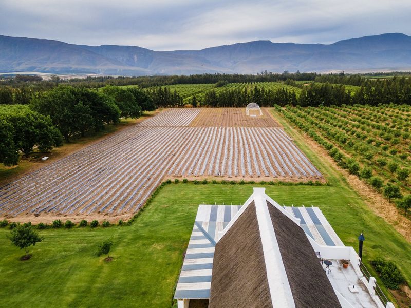 Your South African Country Dream with Boutique Hotel and working Farm - Photo 5