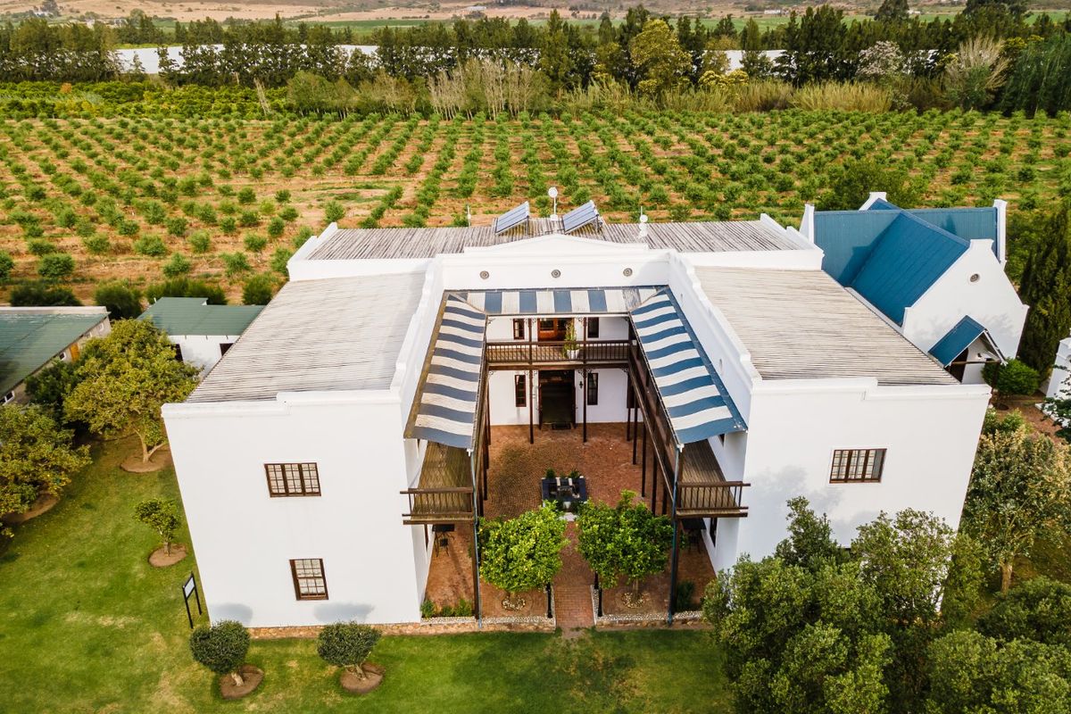 Your South African Country Dream with Boutique Hotel and working Farm - Photo 4
