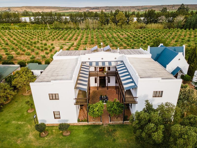Your South African Country Dream with Boutique Hotel and working Farm - Photo 4