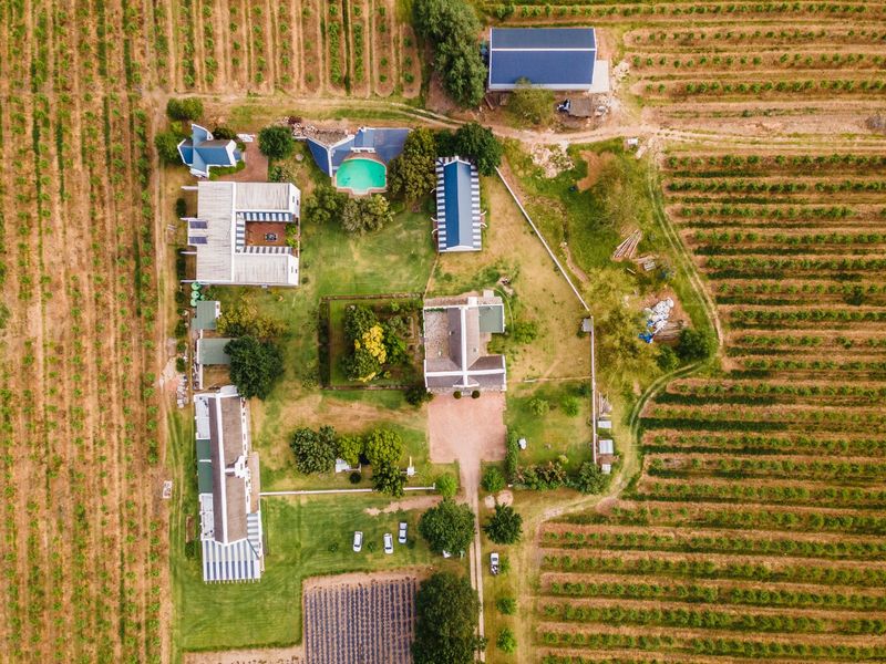 Your South African Country Dream with Boutique Hotel and working Farm - Photo 5