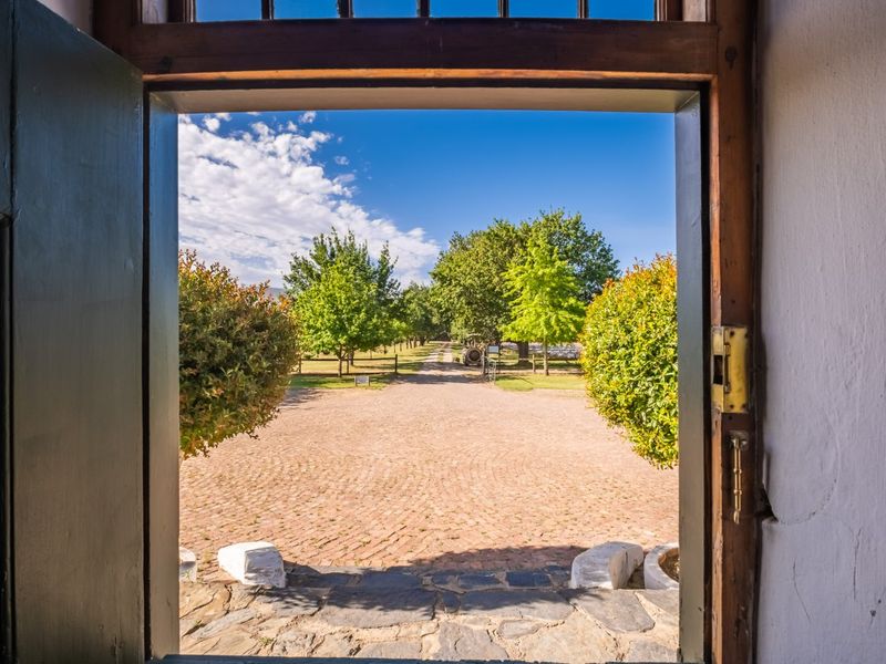 A scenic view looking out from a doorway onto a well-maintained farm driveway lined with mature trees and cobblestone paving.