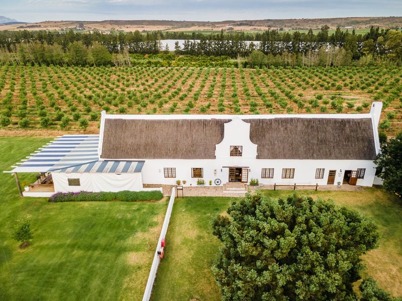 Your South African Country Dream with Boutique Hotel and working Farm - Photo 2