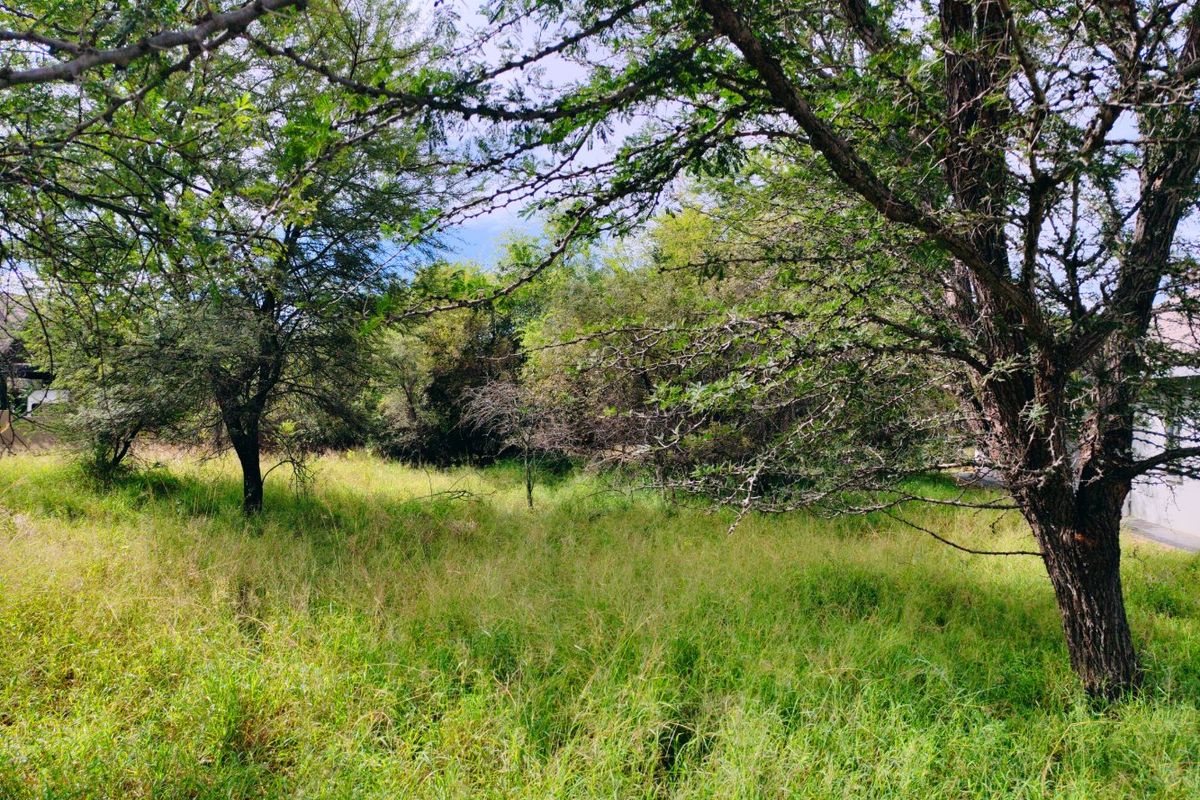 Vacant stand for sale in Koro Creek,Modimolle - Photo 2