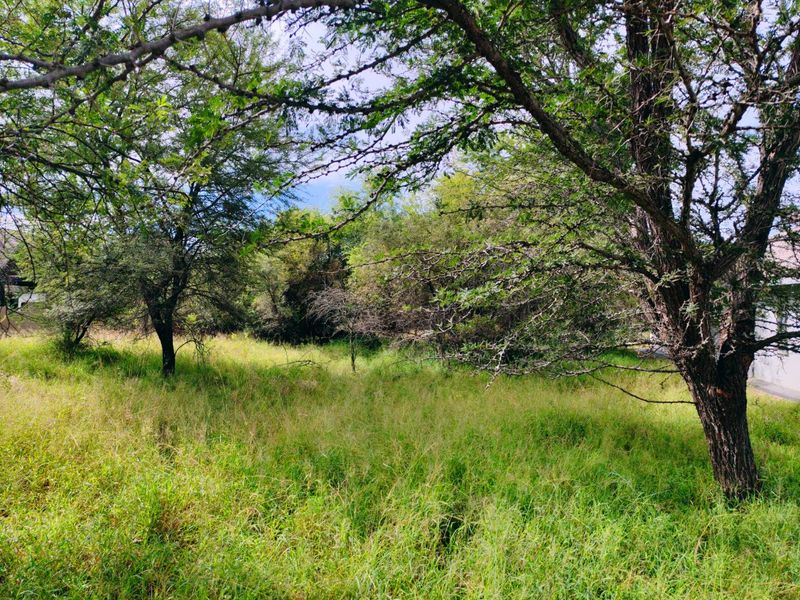 Vacant stand for sale in Koro Creek,Modimolle - Photo 2