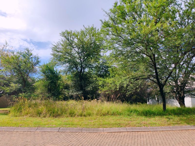 Vacant stand for sale in Koro Creek,Modimolle - Photo 4