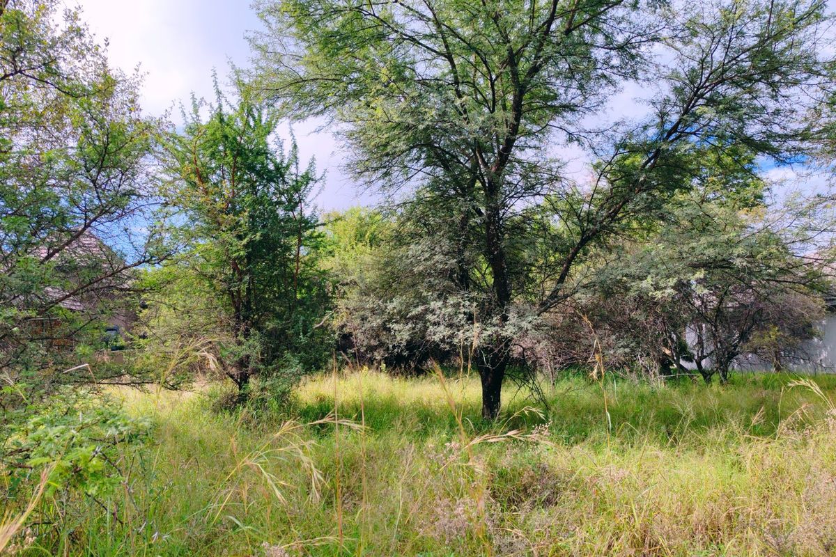 Vacant stand for sale in Koro Creek,Modimolle - Photo 5