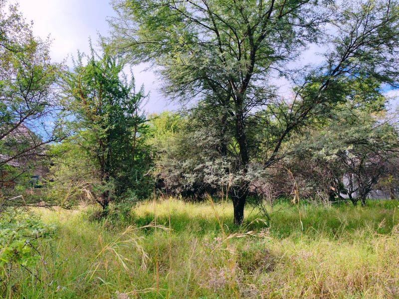 Vacant stand for sale in Koro Creek,Modimolle - Photo 5